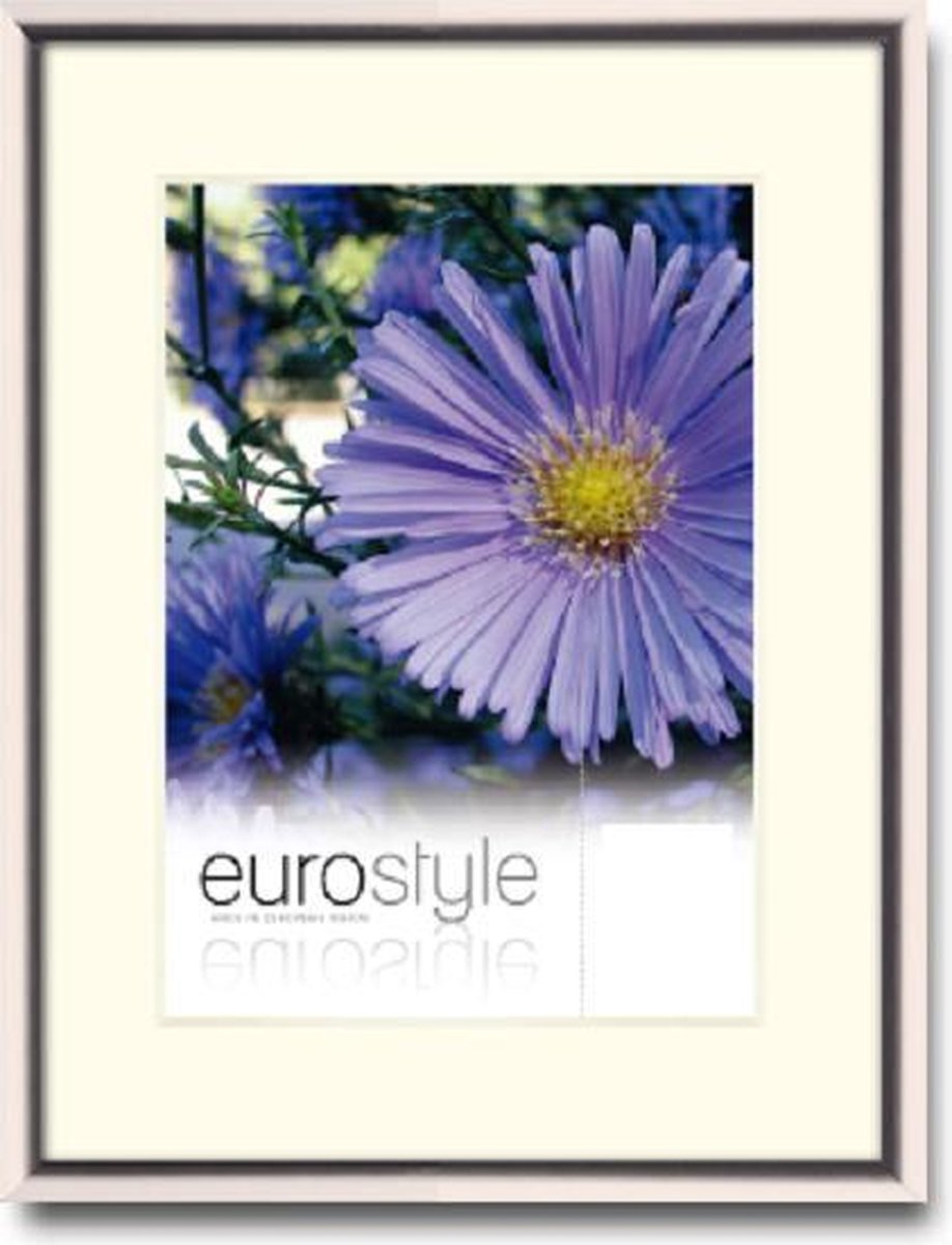 Aluminium Fotolijst Glanzend Beige 21X29,7 CM